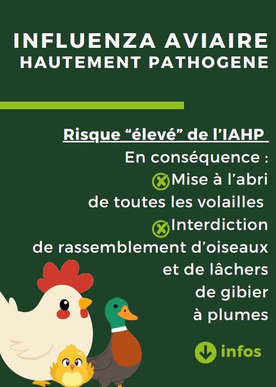 INFLUENZA AVIAIRE