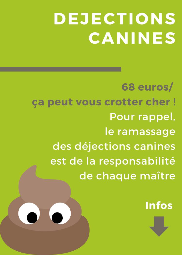 Déjections canines