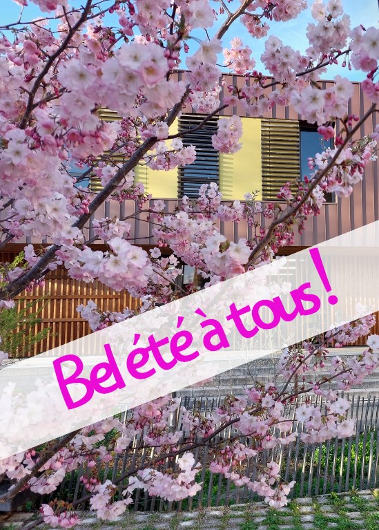 BEL ETE A TOUS