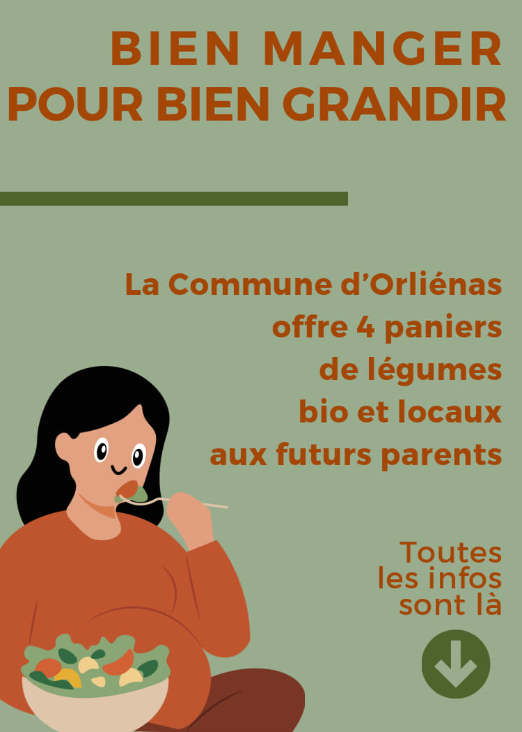 Panier Bio