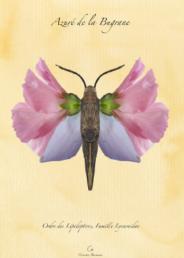 OuvreBoiteExposition Mars_avril2026