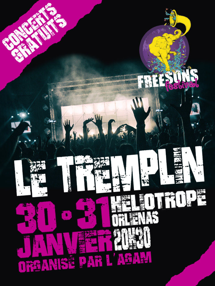 FREESONS FESTIVAL-LE TREMPLIN