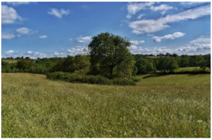 bocage impasse balmes