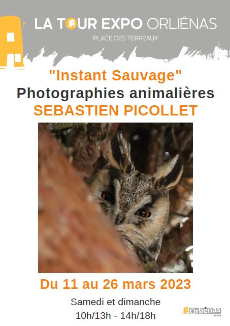 Instant sauvage Sébastien Picollet